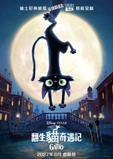 Gatto (English Version)